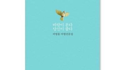 이완용책 특가! 놓치면 후회할 꿀팁 대방출🎁