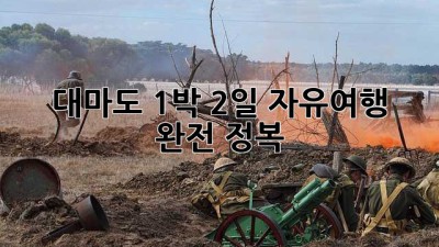 대마도 1박 2일 자유여행 완전 정복!